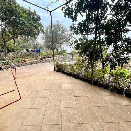 In 44016 دْغاماي